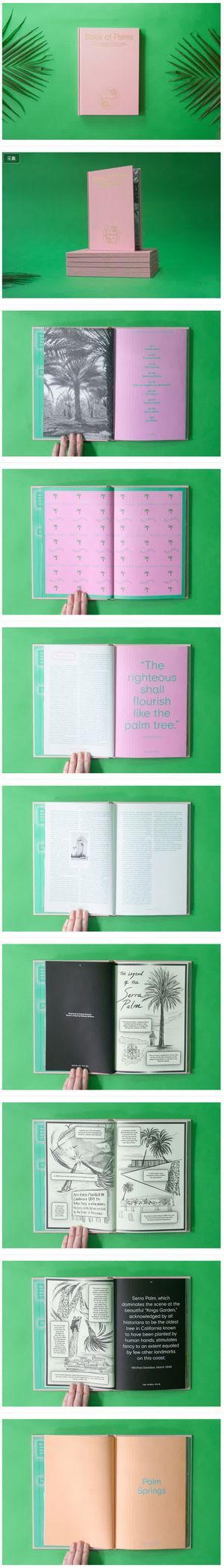 绿色叶片粉色书籍免抠