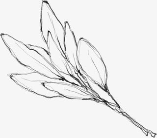 水墨花朵元素56免抠