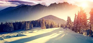 淘宝背景banner高清