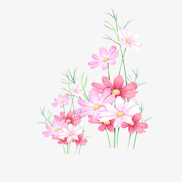 野花到处开免抠
