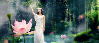 梦幻森林美女banner高清