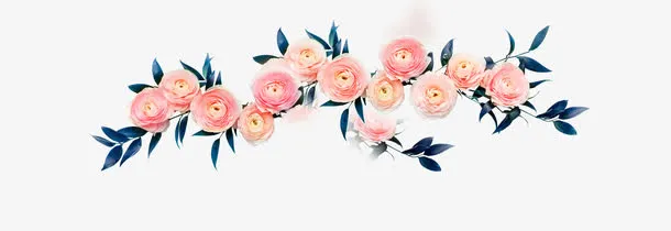 鲜花免抠