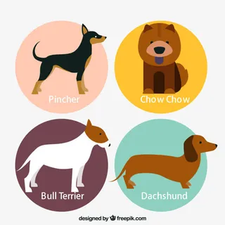 宠物狗标签矢量图下载免抠