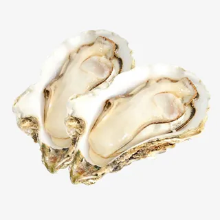 生蚝免抠图片免抠装饰生活用品元素