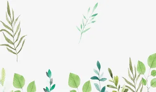 小清新花瓣小草免抠