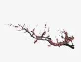装饰图案免抠