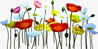 春天田园风景花朵装饰免抠