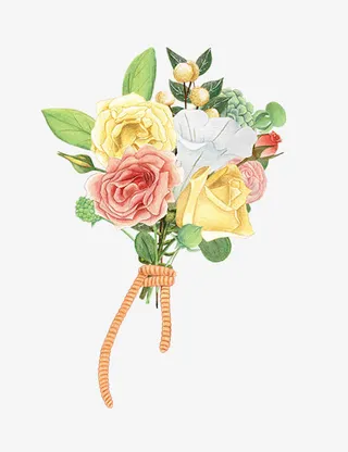 一束玫瑰手绘免抠素材免抠