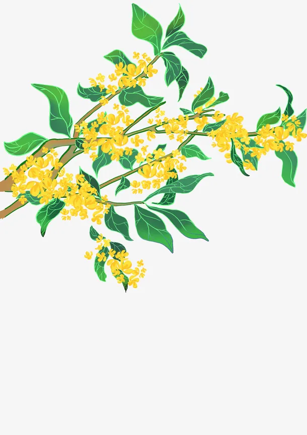 中秋桂花盛开免抠