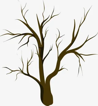 光秃秃的树枝免抠
