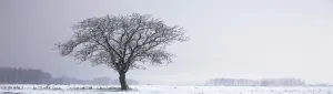 秋冬季节雪景banner海报高清