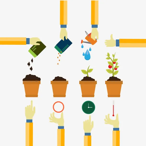 播种到开花免抠