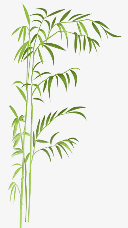 细枝干竹子免抠