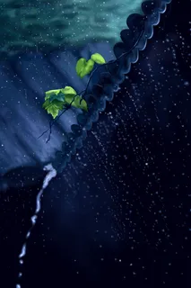 二十四节气之雨水海报高清