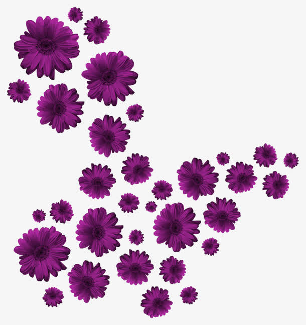 紫色花朵免抠