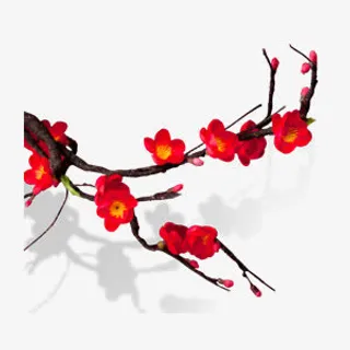 红色梅花花影免抠