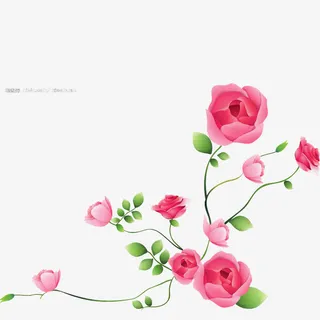 花边 手绘 花丛 边框 底纹免抠