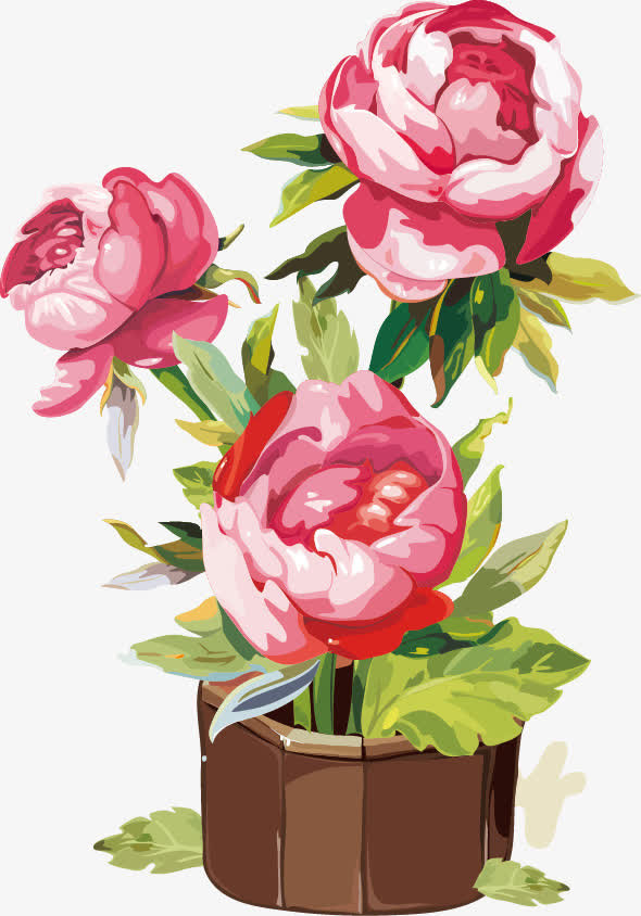 花瓣免抠