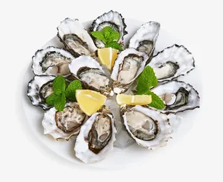 一盘生蚝免抠