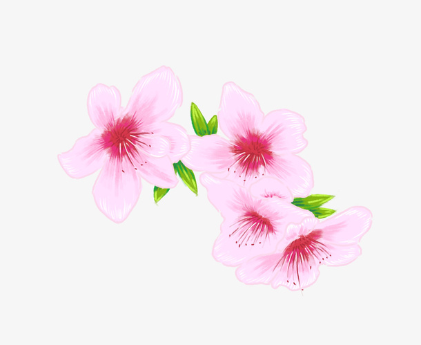 手绘春天桃花免抠