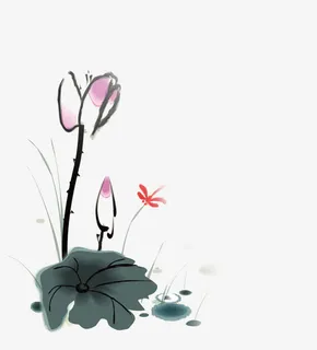 国画荷花免抠