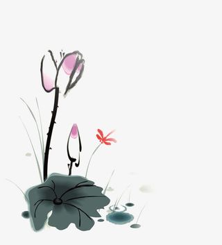 国画荷花免抠