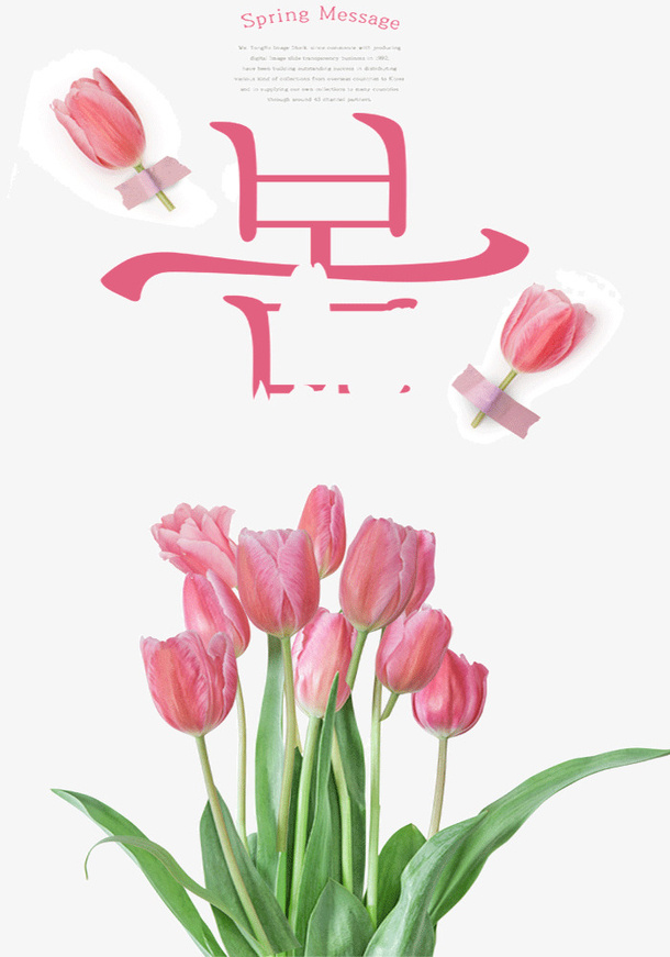 韩国的粉色春天和花朵免抠