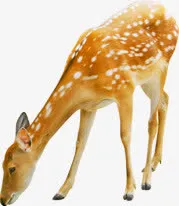 可爱麋鹿造型设计动物免抠