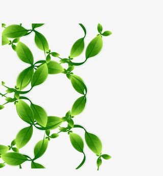 矢量质感绿色树叶边框素材免抠