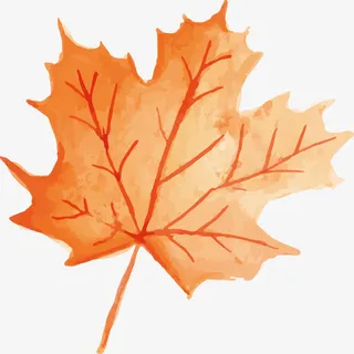 水彩树叶设计免抠