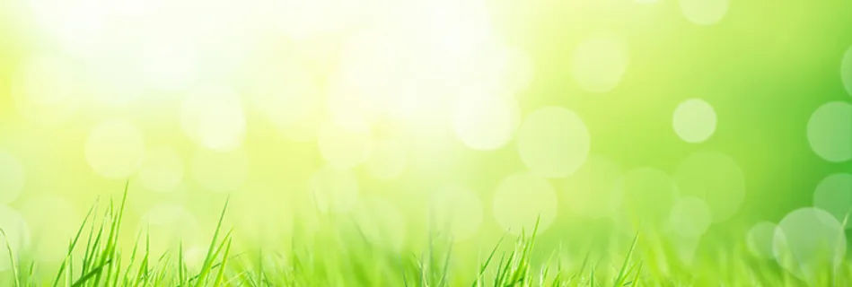 唯美梦幻背景高清