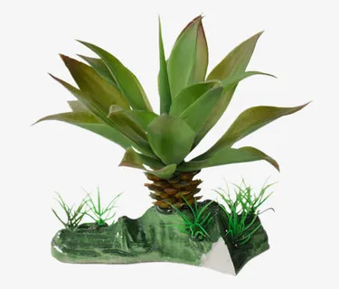 仿真水草假水草塑料水草免抠