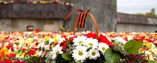 摄影鲜花花蕾背景高清