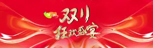 双11狂欢盛宴高清