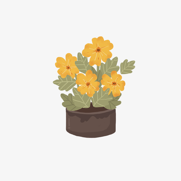 绿色植物盆栽4免抠