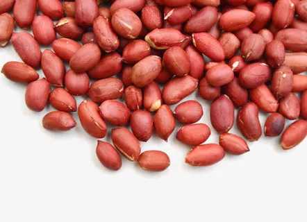 红衣花生免抠 红衣花生免抠