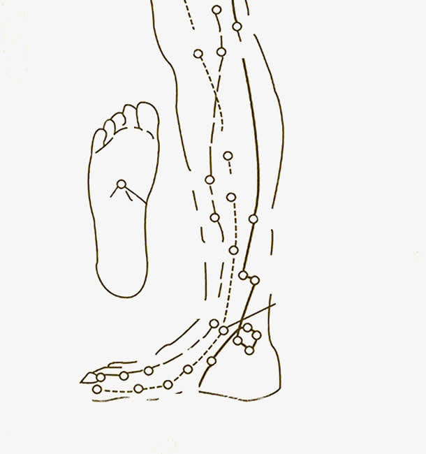 中医人体脉络图标免抠