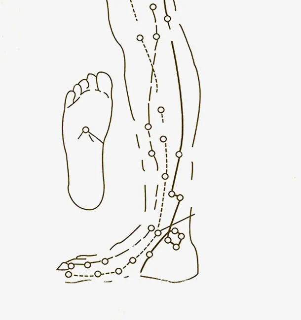 中医人体脉络图标免抠