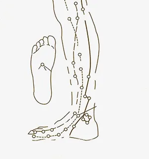 中医人体脉络图标免抠