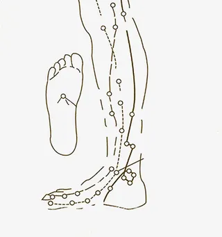 中医人体脉络图标免抠