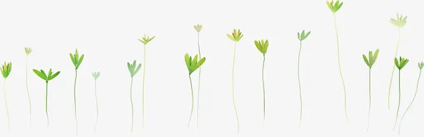 绿色小草植物草地免抠