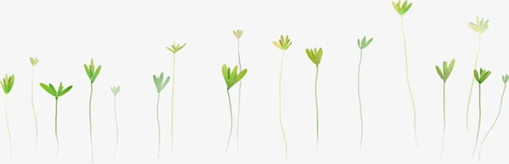 绿色小草植物草地免抠