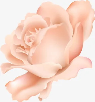 手绘黄色花朵花瓣免抠