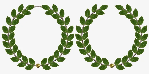 春天绿叶制成花环免抠