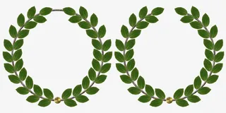 春天绿叶制成花环免抠