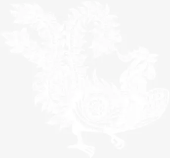 鸡矢量 生肖 图 十二生肖免抠