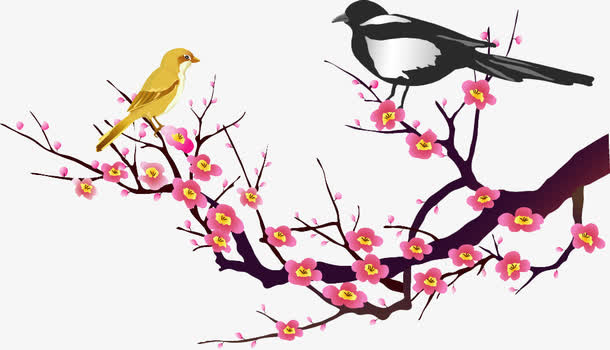 腊梅与小鸟免抠