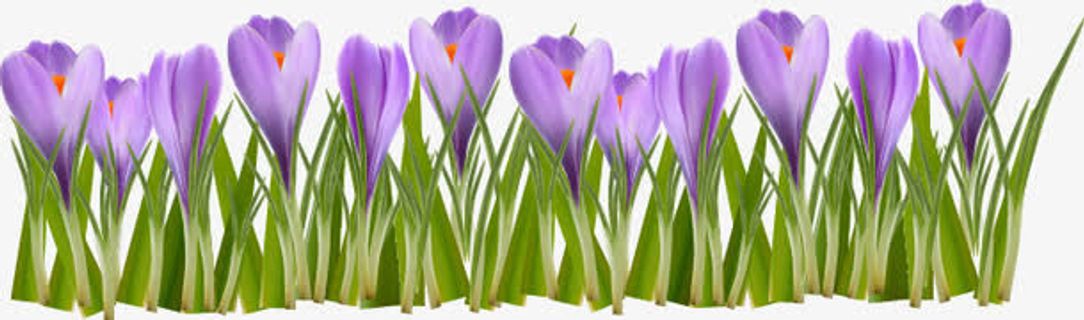 卡通春天花丛免抠