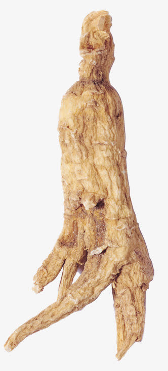 半跪的补品免抠
