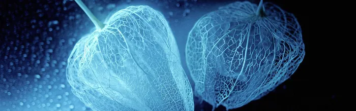 梦幻纹理光效背景高清